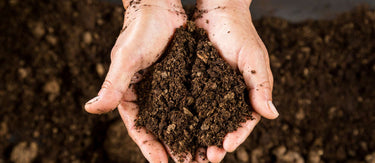 Bulk Compost, Barks & Soil