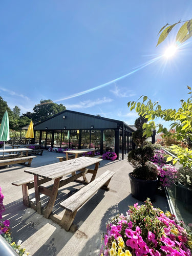 Outdoor patio area with wooden picnic tables under a black-roofed pavilion, surrounded by potted pink and yellow flowers, greenery, and a bright blue sky with sun rays.