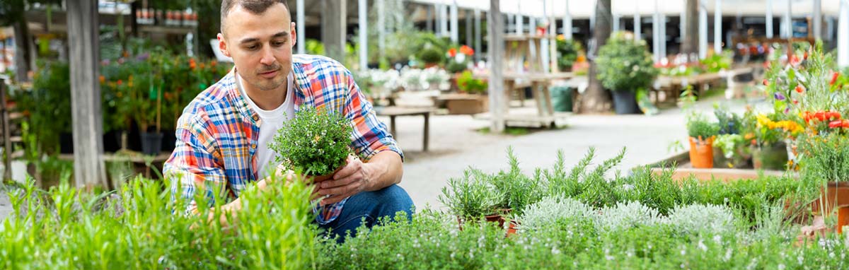 Gardeniing Advice Videos from Meadow Grange Garden Centre near Canterbury