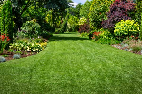 Fertilisers and Lawn Care for sale in Kent, home delivery