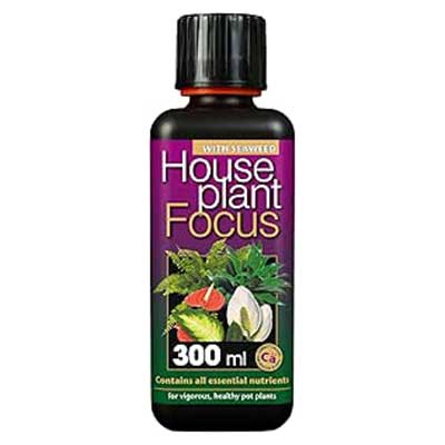 Houseplant Focus 300ml