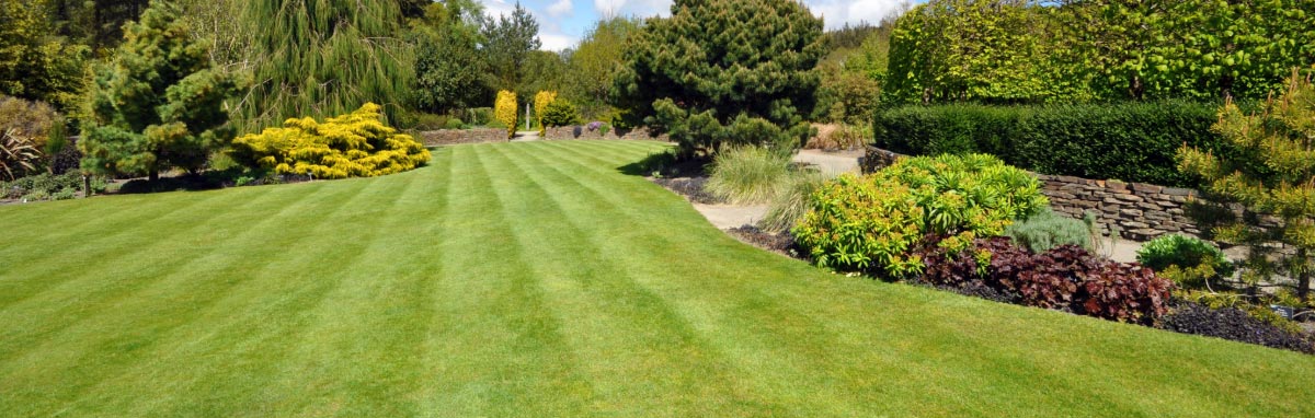 Fertilisers and Lawn Care for sale at Meadow Grange Garden Centre near Canterbury