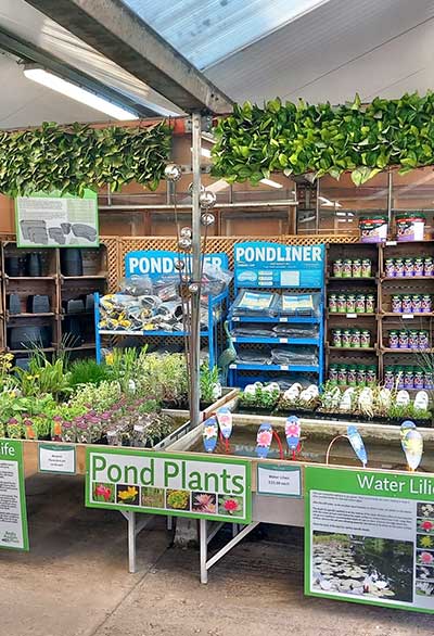 Meadow Grange Garden Centre  near Whitstable and Canterbury