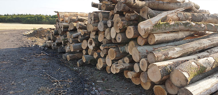 Logs for delivery in Canterbury and Whitstable area