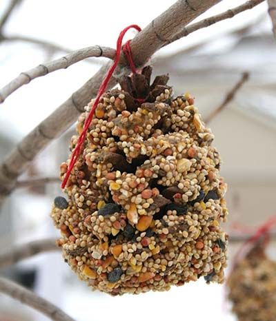 Make a natural pine cone bird feeder - drop in between 10am – 12pm  