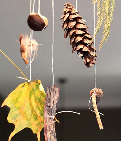 Make a nature mobile