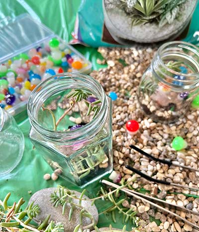 DIY Jam Jar Terrarium
