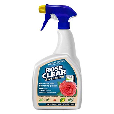 Rose Clear 3-in-1 800ml