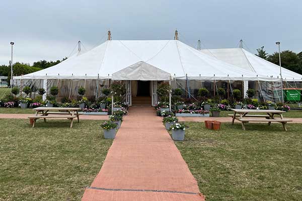 Hire plants for an event in Kent. Large plants for hire