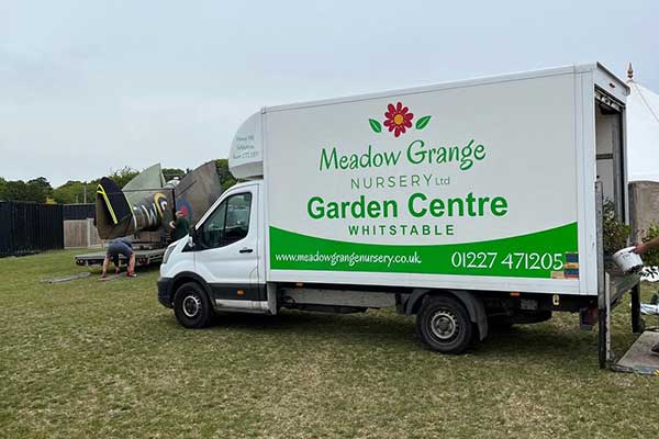 Hire plants for an event in Kent. Large plants for hire