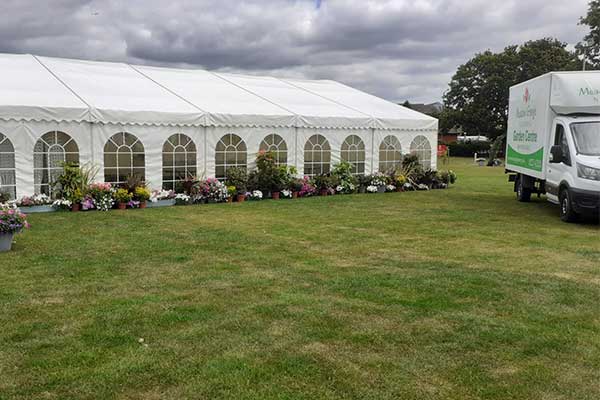 Hire plants for an event in Kent. Large plants for hire