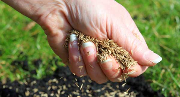 Gardening Jobs for April