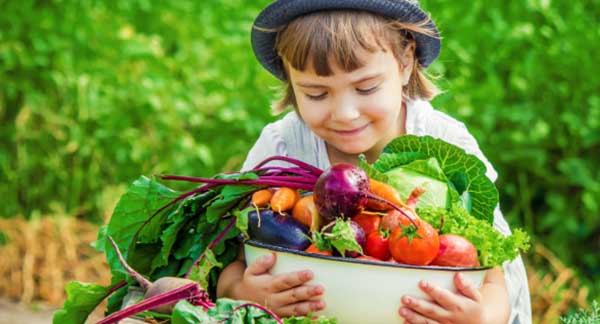 Gardening Jobs for August