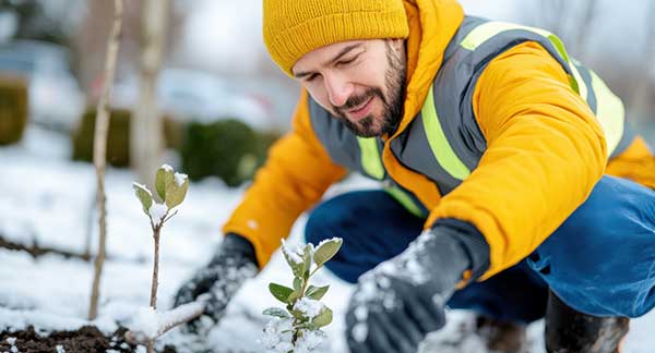 Gardening Jobs for February
