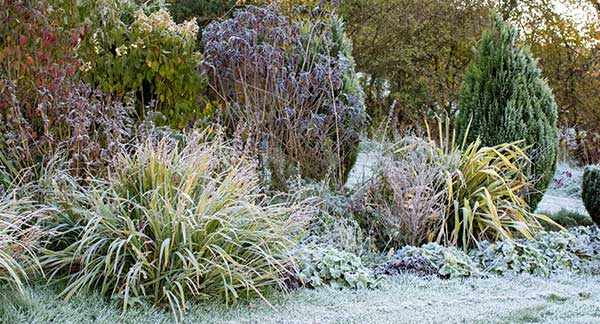 Gardening Jobs for January