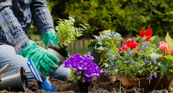 Gardening Jobs for June