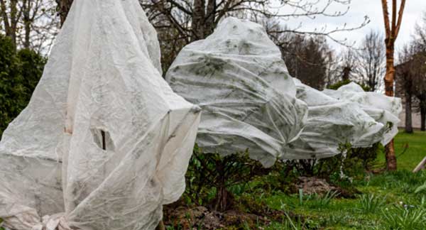 Gardening Jobs for November