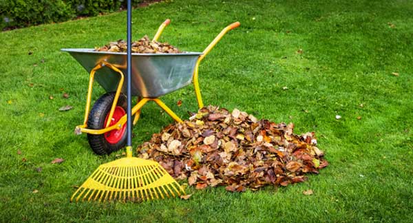 Gardening Jobs for October