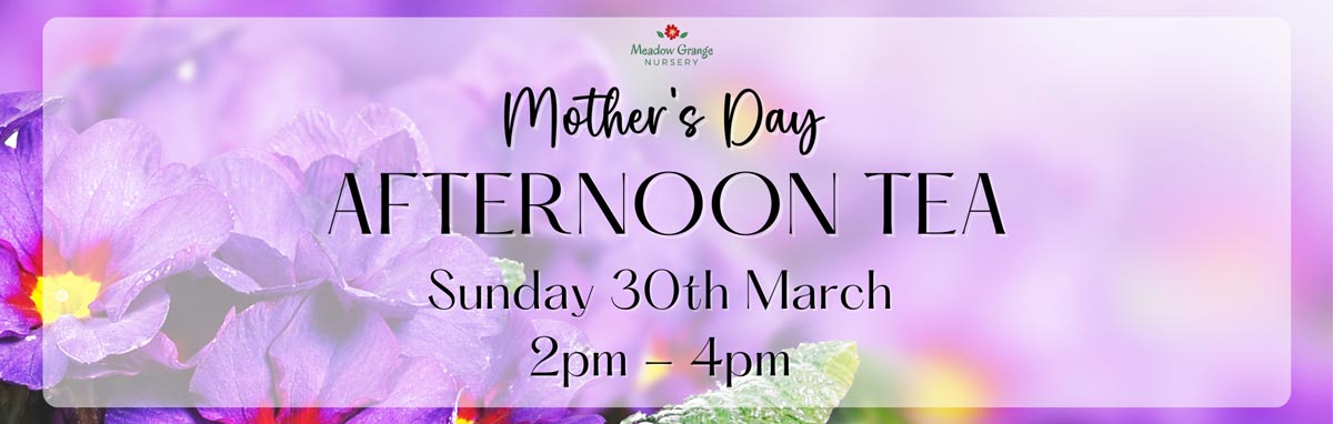 Celebrate Mum this Mother's Day, with an indulgent afternoon tea in our beautiful cafe at Meadow Grange.
